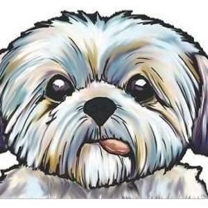 Meet your Posher, Sharon